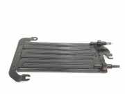 Kraftstoffkühler 175104049R Renault Trafic Passenger (1JL/2JL/3JL/4JL) Bus 2.0 dCi 16V 150 (M9R-714(M9R-Z7))
