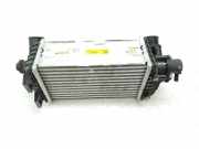 Ladeluftkühler 2827007350 Hyundai i20 (BC3) Schrägheck 5-drs 1.0 T-GDI 100 Mild Hybrid 48V 12V (G3LF) 2022