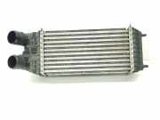 Ladeluftkühler 9803900780 Citroën C3 (SX/SW) Schrägheck 1.5 Blue HDi 100 16V (DV5RD(YHY))
