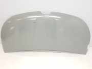 Motorhaube 651224338R Renault L1H1 29t Komfort 2020