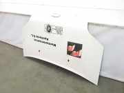 Motorhaube 1448864 Ford Transit Connect Van 1.8 TDCi 90 (HCPA) 2006