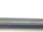 Gasdruckfeder Set Vorne 51237129190 BMW 3 serie (E92) Coupé 330xd 24V (M57N2-D30(306D3)) 2008