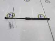 Gasdruckfeder Vorne 51237900795 BMW M3 (E92) Coupé 4.0 V8 32V (S65-B40A) 2008