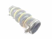 Intercooler Schlauch 0382NP Citroën C4 Berline (NC) Schrägheck 5-drs 1.6 Hdi (DV6C(9HD)) 2013