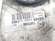 Ladeluftk?hler 1340763080 Fiat Ducato (250) Van 2.3 D 130 Multijet (F1AE3481D) 2013