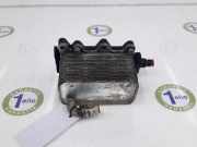 Kühler Automatik 17217803830 BMW 5 serie (E60) Limousine 530d 24V (M57N-D30(306D2)) 2007