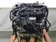 Motor COMPLEET DNPA Volkswagen Golf VIII (CD1) Schrägheck 2.0 GTI 16V (DNPA) 2021 DNPA