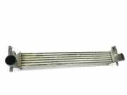 Ladeluftkühler 6R0145805 Volkswagen Polo V (6R) Schrägheck 1.6 TDI 16V 75 (CAYA) 2010 CAYA