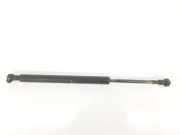 Gasdruckfeder Hinten 51248254281 BMW 3 serie (E46/4) Limousine 318d 16_V (M47N(204D4)) 2003