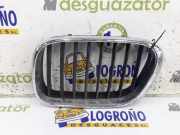 Grill Gitter Links 51138247673 BMW SERIE E53 3.0d 2003
