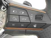 Lenker 5FA419091DP Cupra Formentor SUV 1.5 TSI 16V (DPCA) 2023 DPCA