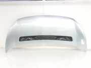 Motorhaube 7901N1 Peugeot Expert Tepee (G9) Großraumlimousine 2.0 HDi 140 16V (DW10BTED4(RHR)) 2008