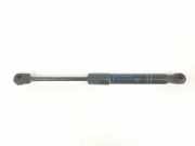 Gasdruckfeder Vorne 51237239233 BMW 3 serie Gran Turismo (F34) Schrägheck 320d 2.0 16V (N47-D20C) 2014