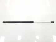 Gasdruckfedern Set Hinten 2GA827550C Volkswagen 1.5 16V TSI ACT (150 CV) 2023 DXDB
