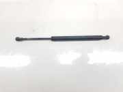 Gasdruckfedern Set Hinten 51248254281 BMW 3 serie (E46/4) Limousine 320d 16_V (M47N(204D4)) 2004