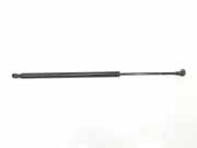 Gasdruckfedern Set Hinten 51248402405 BMW X5 (E53) SUV 3.0d 24V (M57N-D30(306D2)) 2004