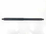 Gasdruckfedern Set Hinten 51247294199 BMW X5 (E70) SUV xDrive 35d 3.0 24V (N57-D30A) 2011