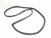 Türgummis 6233160040B0 Toyota Land Cruiser (J12) Hardtop Geländewagen 3.0 D-4D 16V (1KDFTV) 2007