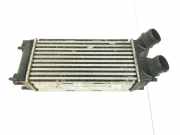 Ladeluftkühler 9656503980 Citroën C4 Berline (LC) Schrägheck 5-drs 1.6 HDi 16V (DV6ATED4(9HX)) 2008