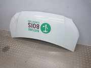 Motorhaube 6510000Q0E Nissan NV400 FURGON X62 L2H2 33t PRO