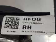Nebelscheinwerfer Rechts 92202Q0000 Hyundai i20 (BC3) Schrägheck 5-drs 1.0 T-GDI 100 Mild Hybrid 48V 12V (G3LF)
