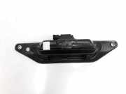 Heckklappengriff CJ54S425A22A Ford 2.0 TDCi (120 CV) 2015