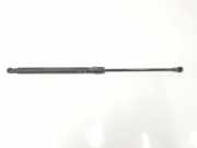 Gasdruckfeder Hinten 8P3827552C Audi A3 (8P1) Schrägheck 3-drs 2.0 TDI 16V (BKD) 2004