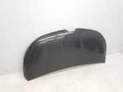 Motorhaube 651224338R Renault L1H1 29t Komfort