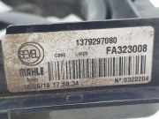 Lüfter Kühler 1250H4 Citroën Jumper (U9) Van 2.0 Blue HDi 130 (DW10FUD(AHN))