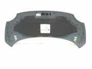 Motorhaube 51783709 Fiat 500 (312) Schrägheck 1.2 69 (169.A.4000) 2008