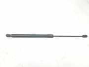 Gasdruckfedern Set Hinten 4L0827552D Audi Q7 (4LB) SUV 3.0 TDI V6 24V (BUG) 2007