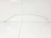 Zierleiste LINKS 51767119075 BMW SERIE 3 COUPE E92 335d 2007