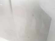 Motorhaube 5330102160 Toyota Auris (E15) Schr?gheck 1.33 Dual VVT-I 16V (1NRFE)