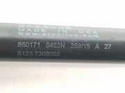 Gasdruckfeder Set Vorne 51237308065 BMW X5 (F15) SUV xDrive 25d 2.0 (B47-D20B)