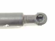 Gasdruckfeder Set Vorne 51238202688 BMW 3 serie (E46/4) Limousine 320d 16V (M47-D20(204D1)) 2001