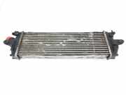 Ladeluftkühler 8200411160 Nissan Primastar Van 2.0 dCi 120 (M9R-780(Euro 5)) 2009