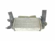 Ladeluftkühler 2163154 Ford EcoSport (JK8) SUV 1.0 EcoBoost 12V 125 (M1JU) 2019