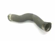 Intercooler Schlauch 11617810617 BMW 4 serie (F32) Coupé 420d 2.0 16V (N47-D20C) 2013