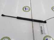 Gasdruckfeder Hinten 51247129194 BMW M3 (E92) Coup? 4.0 V8 32V (S65-B40A) 2008