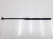 Gasdruckfeder Hinten 8W9827552C Audi AVANT 2.0 16V TDI (150 CV) 2018