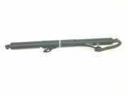 Gasdruckfeder Hinten 51247434042 BMW X5 (F15) SUV xDrive 40d 3.0 24V (N57-D30B) 2017