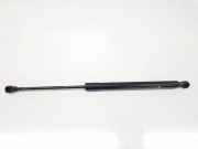 Gasdruckfedern Set Hinten 844308661R Renault Clio IV (5R) Schrägheck 5-drs 1.5 dCi 75 FAP (K9K-612) 2015