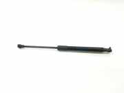 Gasdruckfeder Set Vorne 51232990344 BMW X1 (E84) SUV sDrive 18d 2.0 16V (N47-D20C) 2011