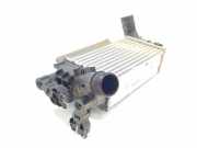 Ladeluftkühler L1BG6D624AB Ford Puma SUV 1.0 Ti-VCT EcoBoost Hybrid 12V (BZJA)