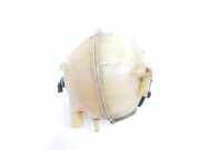 Ausgleichbehälter A6395010503 Mercedes-Benz MERCEDES KASTEN 2.1 CDI (136 CV) 2014