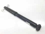 Stoßdämpfer Links Hinten 9846669980 Opel Astra L Sports Tourer (F4/FC/FN/FR) Kombi 1.2 Turbo 110 12V (EB2ADT(HNP))