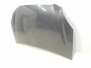 Motorhaube 664001D010 Kia Carens III (FG) Großraumlimousine 2.0 CRDI VGT 16V (D4EA)