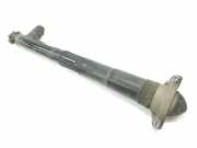 Stoßdämpfer Links Hinten 83A513045 Audi 2.5 TFSI QUATTRO