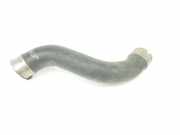 Turbo Leitung 144634JA0C Nissan NP 300 Navara (D23) Pick-up 2.3 dCi 16V (YS23DDT) 2020