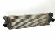 Ladeluftkühler A9065010101 Mercedes-Benz 309-311-313-315 CDI (906.631-633-635-637)